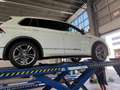 Volkswagen Tiguan 1.4 TSI CL Bns R Wit - thumbnail 3