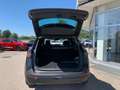 Kia Sportage 1,6 TGDI Black Edition Schwarz - thumbnail 10
