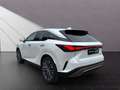 Lexus RX 350h 4x4 Executive Line Panoramadach Tech-Pake Weiß - thumbnail 4