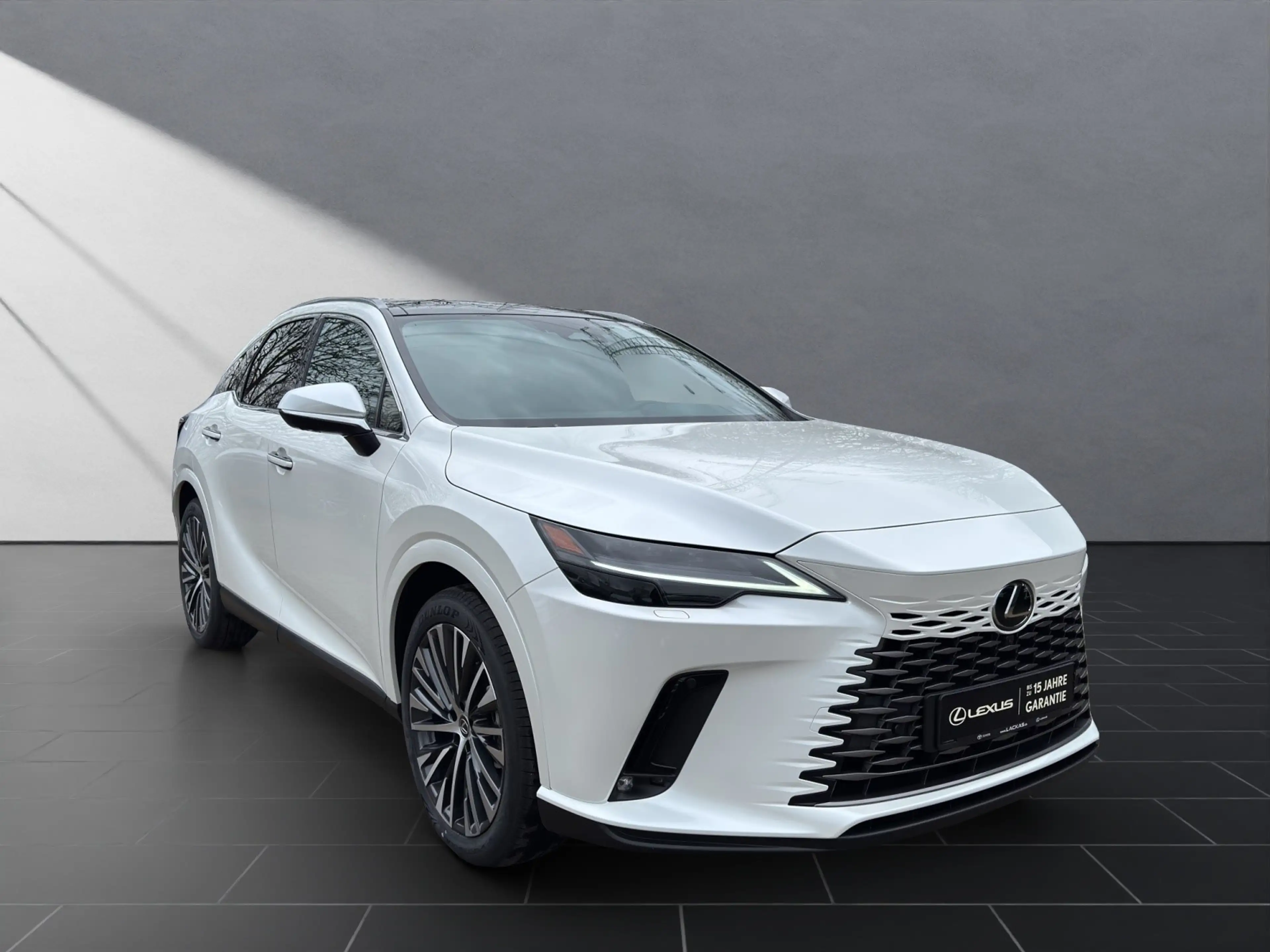 Lexus RX 350h 4x4 Executive Line Panoramadach Tech-Pake — photo 7