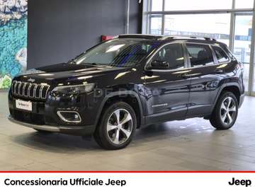 2.2 mjt limited 4wd active drive i auto