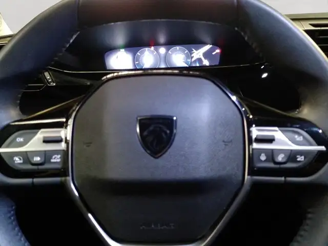 Peugeot 308 view 13