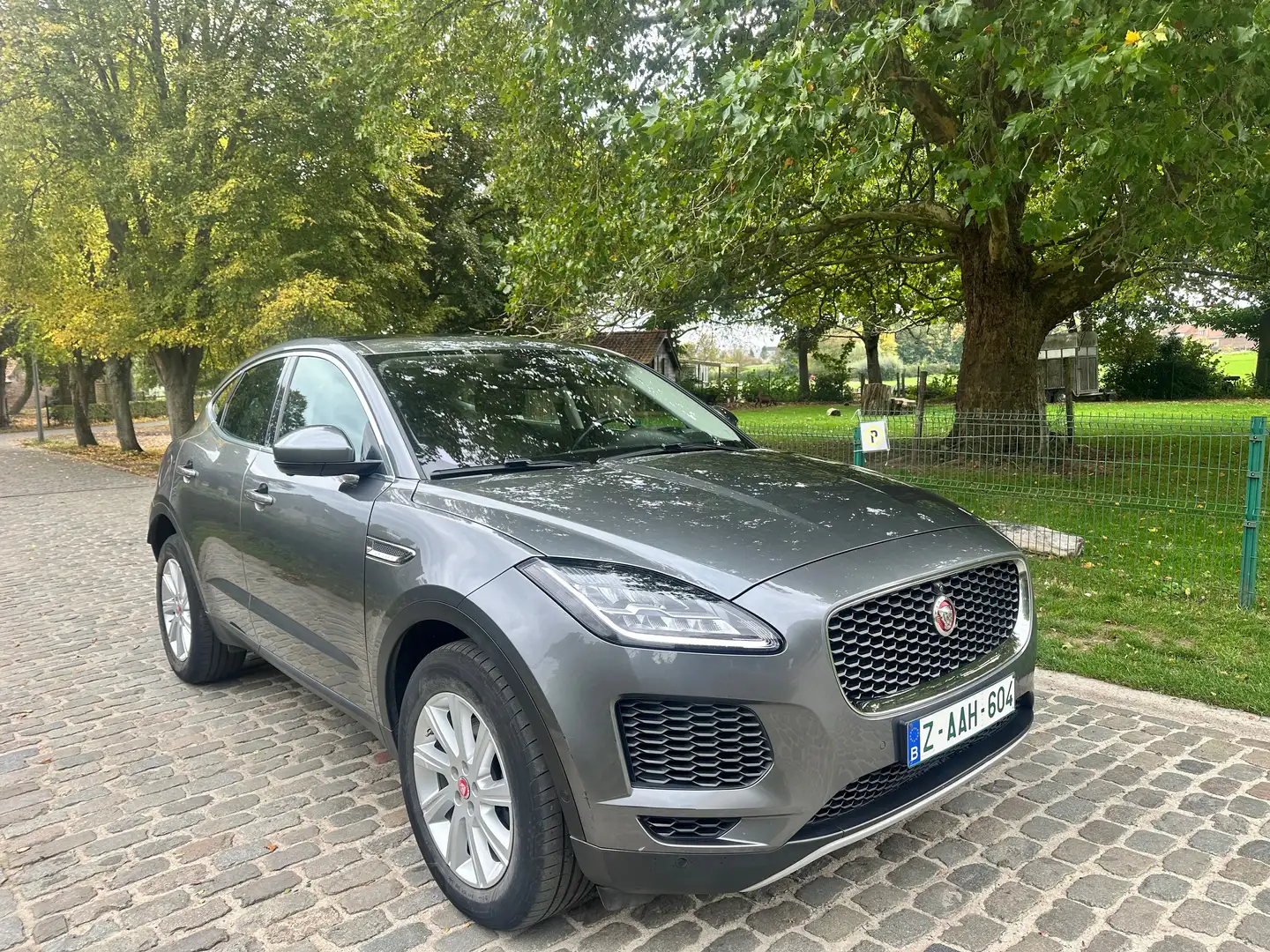 Jaguar E-Pace E-Pace 2.0 D AWD Gris - 1