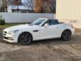 Mercedes-Benz SLK 250 SLK 250 CDI (BlueEFFICIENCY) 7G-TRONIC Blanco - thumbnail 1