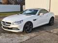 Mercedes-Benz SLK 250 SLK 250 CDI (BlueEFFICIENCY) 7G-TRONIC Blanco - thumbnail 2