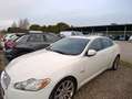 Jaguar XF 2.7d Premium Luxury auto - thumbnail 3