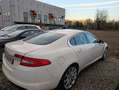 Jaguar XF 2.7d Premium Luxury auto - thumbnail 5