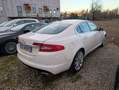 Jaguar XF 2.7d Premium Luxury auto - thumbnail 7