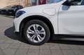 BMW X1 xDrive 25e Hybrid LEDER Navi Kamera DAB AHK Weiß - thumbnail 7