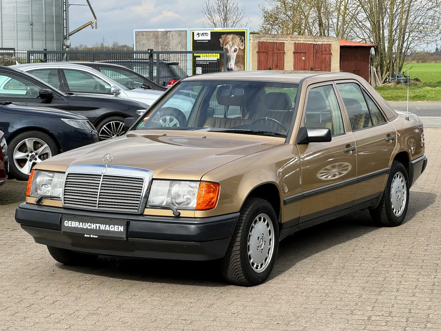 Mercedes-Benz E 300 4 Matic W124 aus 2.Hand H-Kennzeichen Złoty - 1