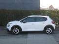 Citroen C3 BlueHDi 100 Business Combi N1 4 Posti Bianco - thumbnail 5