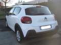 Citroen C3 BlueHDi 100 Business Combi N1 4 Posti Bianco - thumbnail 4