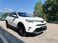 Toyota RAV 4 Rav4 2.0 d-4d Lounge 2wd mt Blanc - thumbnail 4