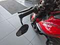Ducati Monster 937 Plus Rojo - thumbnail 5