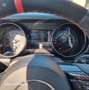 Ford Mustang Deportivo Manual de 3 Puertas Mauve - thumbnail 19