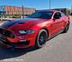 Ford Mustang Deportivo Manual de 3 Puertas Mauve - thumbnail 21