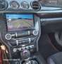 Ford Mustang Deportivo Manual de 3 Puertas Mauve - thumbnail 15