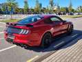 Ford Mustang Deportivo Manual de 3 Puertas Mauve - thumbnail 6