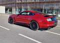 Ford Mustang Deportivo Manual de 3 Puertas Mauve - thumbnail 3