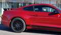 Ford Mustang Deportivo Manual de 3 Puertas Mauve - thumbnail 4
