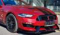 Ford Mustang Deportivo Manual de 3 Puertas Mauve - thumbnail 1