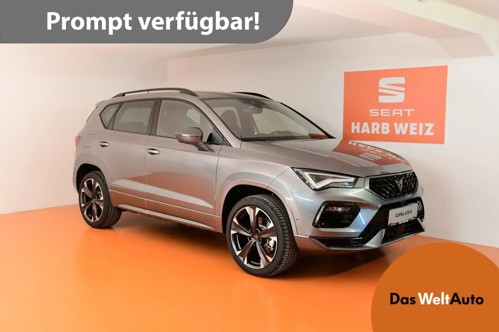 CUPRA Ateca 2.0 TSI DSG 4Drive 190 Grau - 1