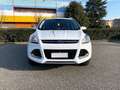 Ford Kuga 2.0 TDCI 150 CV 4WD S&S Powershift Titanium Weiß - thumbnail 14