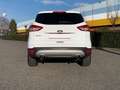 Ford Kuga 2.0 TDCI 150 CV 4WD S&S Powershift Titanium Weiß - thumbnail 3