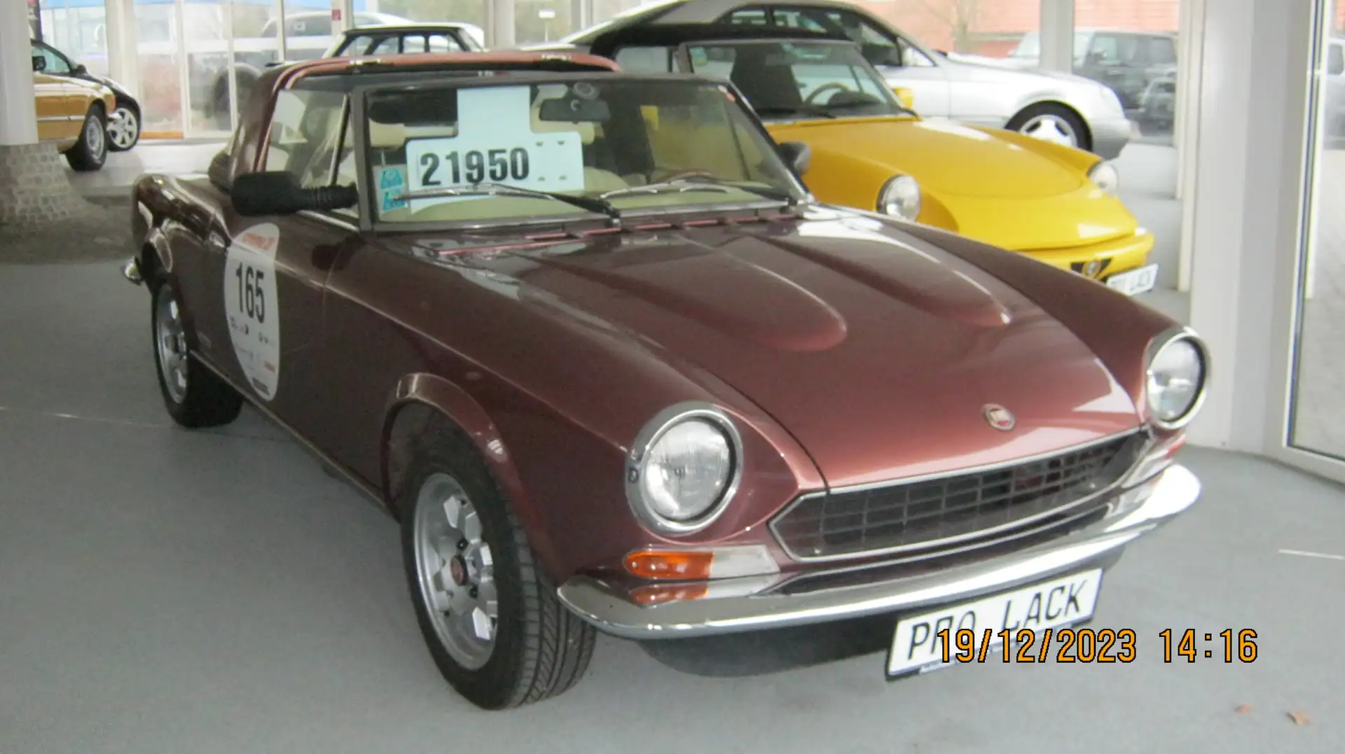 Fiat Pininfarina Spider i.e. Bruin - 2