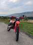 Beta RR 125 LC 4t enduro Rosso - thumbnail 5
