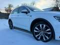 Volkswagen Tiguan Tiguan 2,0 TDI SCR 4Motion Highline DSG Highline Weiß - thumbnail 14