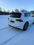 Volkswagen Tiguan Tiguan 2,0 TDI SCR 4Motion Highline DSG Highline Weiß - thumbnail 31
