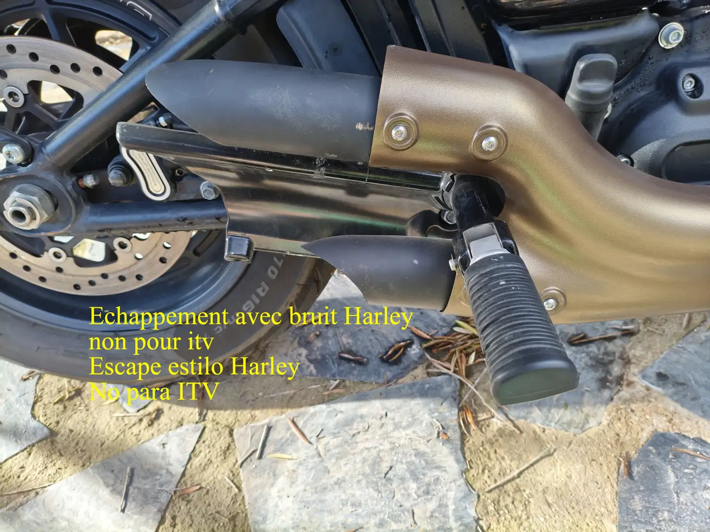 Harley-Davidson Fat Bob 114 Plateado - 2