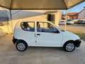 Fiat Seicento 1.1i cat EL OK NEOPATENTATI IN PRONTA CONSEGNA Blanc - thumbnail 7