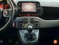 Fiat Panda City Cross 1.0 Gse 51kw (70CV) Verde - thumbnail 12
