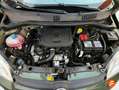 Fiat Panda City Cross 1.0 Gse 51kw (70CV) Verde - thumbnail 20