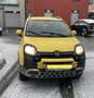 Fiat Panda Panda 4x4 1,3 Multijet II 80 4x4 Cross Cross Gelb - thumbnail 6
