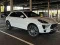 Porsche Macan Macan S 3,0 21 Zoll Räder 21 Zoll Räder Weiß - thumbnail 1
