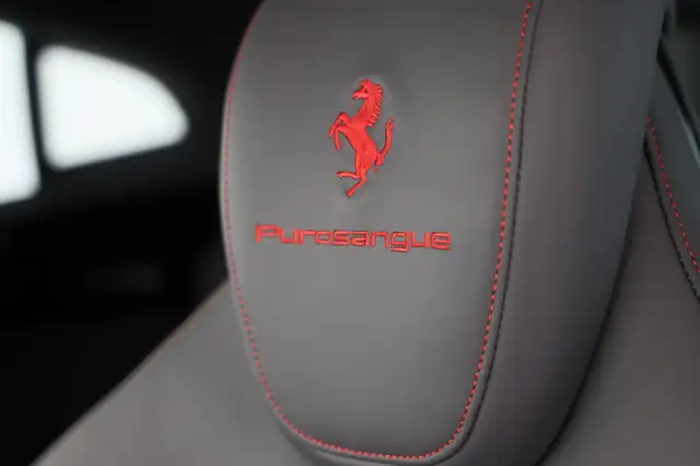 Ferrari Purosangue view 8