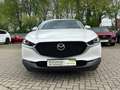 Mazda CX-30 Selection 122 PS *Activsense-Paket*Navi* Selection Blanc - thumbnail 2