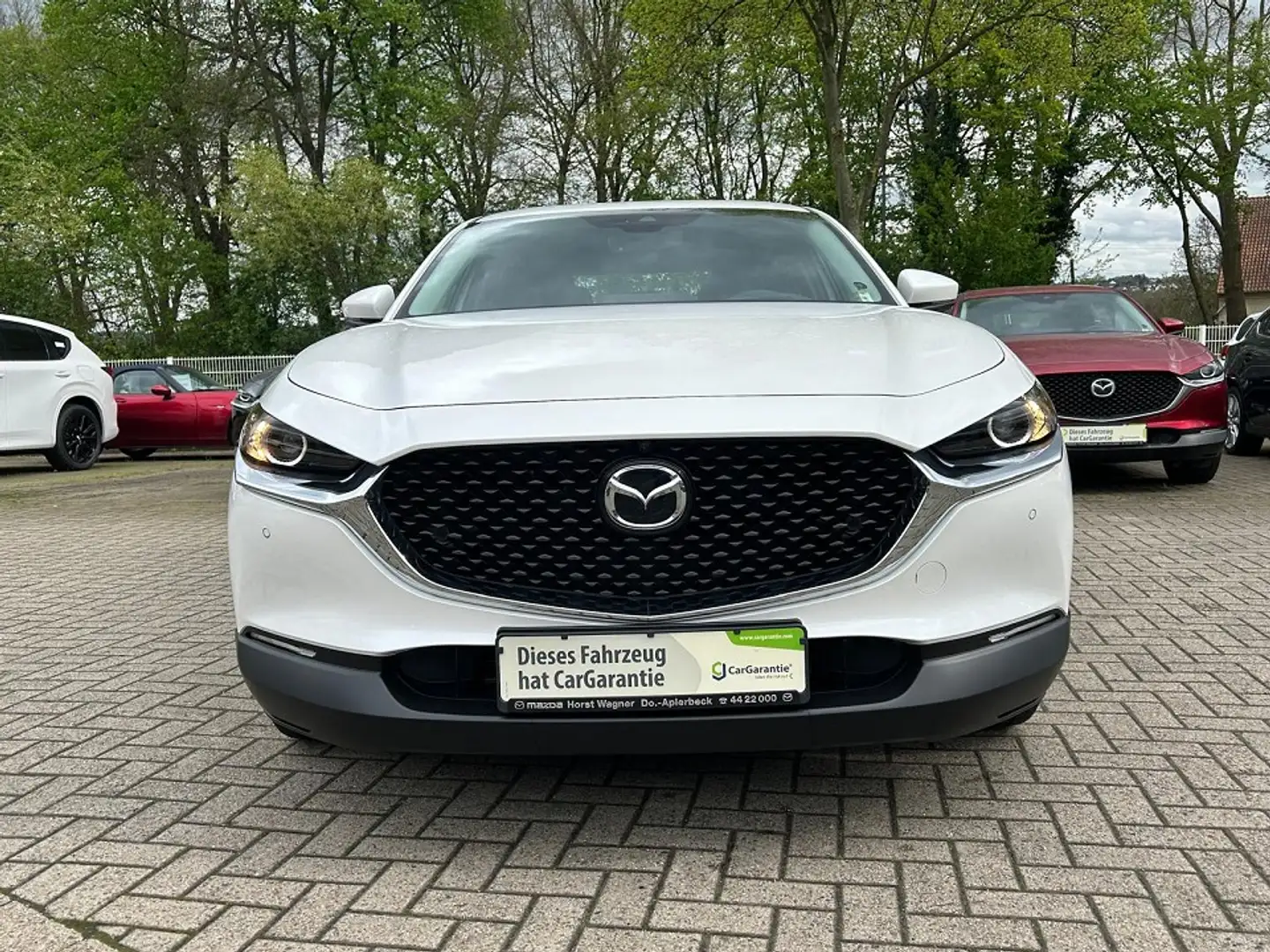 Mazda CX-30 Selection 122 PS *Activsense-Paket*Navi* Selection Weiß - 2