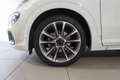 Fiat 500X 500X 1.0 T3 120 CV Sport Bianco - thumbnail 8