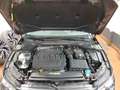 Volkswagen Golf VIII 2.0 TDI DSG ACTIVE AHK+IQ. LIGHT+PANO+ Negro - thumbnail 7