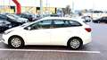 Kia Ceed SW / cee'd SW 1,4 CRDi Titan Weiß - thumbnail 13
