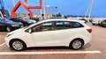 Kia Ceed SW / cee'd SW 1,4 CRDi Titan Weiß - thumbnail 20