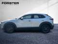Mazda CX-30 /G122/AT/COM/STYLE LED RFK SHZ Argent - thumbnail 2