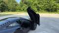 McLaren MP4-12C MP4-12C/ Premiere main / Carbone / ... Schwarz - thumbnail 22