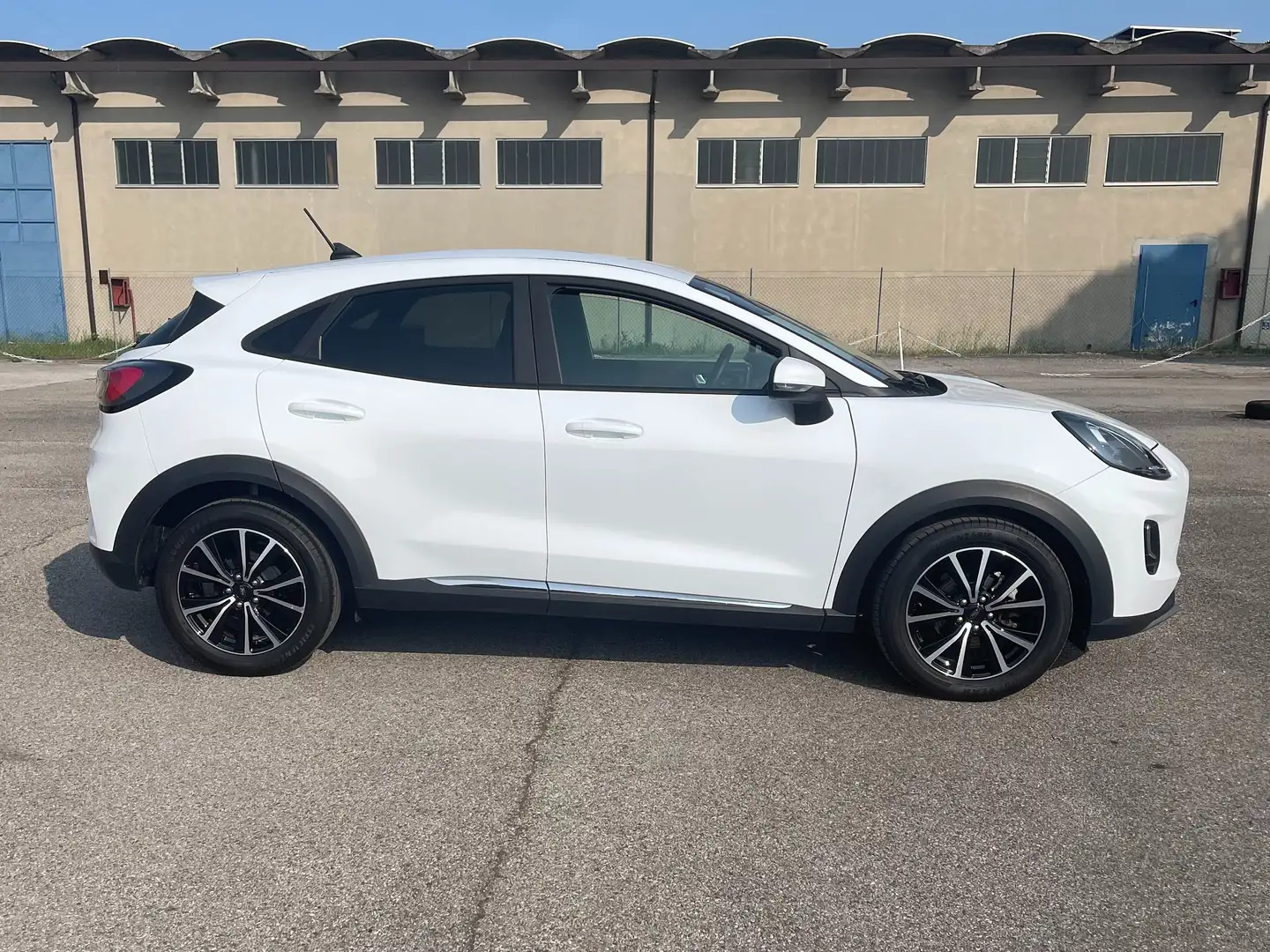 Ford Puma Bianco - 2