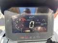 Honda ADV 350 abs euro 5 Grigio - thumbnail 2