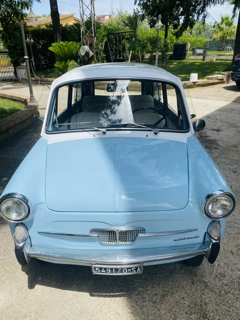 Autobianchi bianchina panoramica - 2